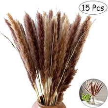 Carica l'immagine nel visualizzatore di Gallery, WELLXUNK Erba di Pampa Secca Naturale, phragmites Colore Primario