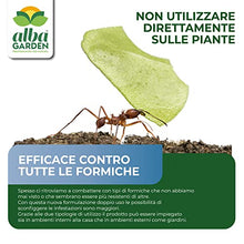 Carica l&#39;immagine nel visualizzatore di Gallery, Albagarden - Antax Esca Anti Formiche Veleno Insetticida Micro Granulare Casa Giardino Prato Verde Scarafaggi Grillotalpa Insetti Pulci Zecche Pesciolini D&#39;Argento Solubile Spray Antiformiche x 1 Kg