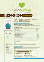 Carica l'immagine nel visualizzatore di Gallery, NPK 20-20-20 Fertilizzante Universale 1Kg. AZOTO FOSFORO POTASSIO con MICROELEMENTI e Complesso ATTIVANTE - Made in Italy by Symbiagro