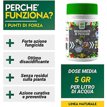Carica l&#39;immagine nel visualizzatore di Gallery, Albagarden - Bicarbonato Di Potassio Bio Per Agricoltura Naturale E Piante - Disacidan Effetto Fungicida Contro Oidio Muffa Grigia Peronospora Monilia Ticchiolatura Bolla Del Pesco Marciume X 250 Gr