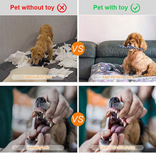 Carica l&#39;immagine nel visualizzatore di Gallery, Focuspet 8 Pezzi Set di Giochi per Cani Cuccioli e Piccola...