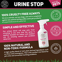 Carica l&#39;immagine nel visualizzatore di Gallery, C&amp;G Urina Stop Spray per Repellente Gatti e Cani | e Gatti...