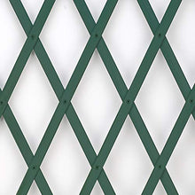 Carica l&#39;immagine nel visualizzatore di Gallery, Treplas 0,50x2 m, Verde, Traliccio Estensibile in PVC per Sostegno a Muro di Fiori e Piante Rampicanti