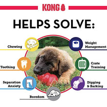Carica l'immagine nel visualizzatore di Gallery, KONG - Puppy Gioco Gomma Naturale per dentizione - Masticare e Medium