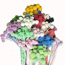 Carica l&#39;immagine nel visualizzatore di Gallery, INVISIKAYAK Craspedia Globosa Materiale Fiore Immortal Eternal 40pcs, Dorato - Ilgrandebazar