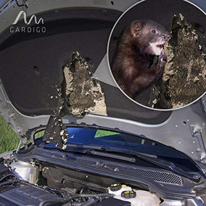Gardigo 784052 Repellente Anti-Martore per Auto, Dissuasori Ultrasuoni per...