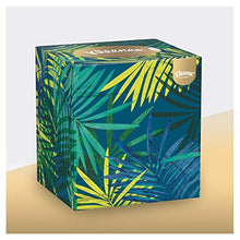 Carica l&#39;immagine nel visualizzatore di Gallery, Kleenex Collection Box Fazzoletti, 12 Scatole da 56 Pezzi - Ilgrandebazar