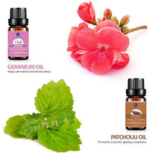 Carica l'immagine nel visualizzatore di Gallery, Lagunamoon Olio Essenziale per Diffusori, 10 Oli Essenziali Aromaterapia Pure