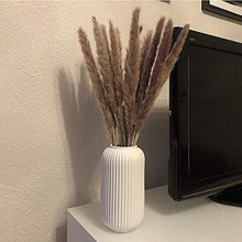 Carica l'immagine nel visualizzatore di Gallery, WELLXUNK Erba di Pampa Secca Naturale, phragmites Colore Primario