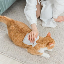 Carica l'immagine nel visualizzatore di Gallery, AMORE MIO | 110 Salviette al Talco Maxi Formato Extra Large per Il Manto di Cani, Gatti e Animali Domestici, Disinfettanti e Igienizzanti, 30x20 cm - 1 Confezione da 110 Salviettine