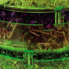 Carica l&#39;immagine nel visualizzatore di Gallery, Geo TZZ0870 Plus Germogliatore (Senza Bpa) 20.5x20.5x23 cm, Verde