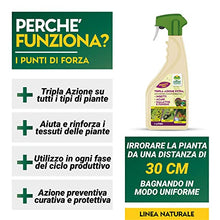 Carica l'immagine nel visualizzatore di Gallery, Albagarden Tripla Azione Naturale - Insetticida - Fungicida - Acaricida Per Piante Pronta All'Uso A Base Di Equiseto E Ortica - Spray Biologico X 1 Lt