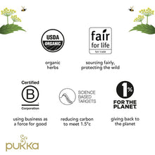 Carica l&#39;immagine nel visualizzatore di Gallery, Pukka Herbs | Calendario dell&#39;Avvento con tisane biologiche Days of Giving | Idea regalo da condividere | Eco-friendly e sostenibile | Senza cioccolato | Senza lattosio | 48 filtri | 24 gusti