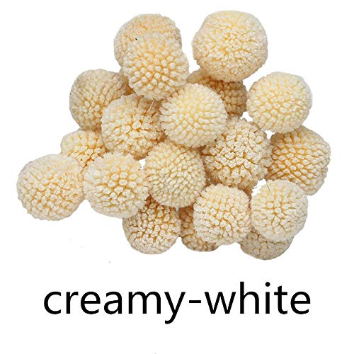 INVISIKAYAK Craspedia Globosa Materiale Fiore Immortal 40pcs, Creamy-white - Ilgrandebazar