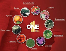 Carica l'immagine nel visualizzatore di Gallery, NUTRI 1 ONE One Concime concentrato per Piante e Fiori, 1 lt