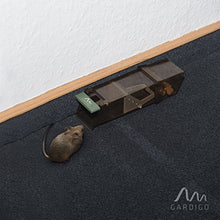 Carica l&#39;immagine nel visualizzatore di Gallery, 5