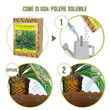 Carica l&#39;immagine nel visualizzatore di Gallery, I Consigli Dell&#39;Esperto Cycasana Concime Specifico per Cycas