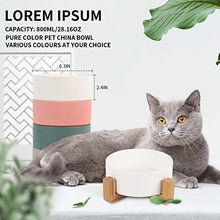 Carica l'immagine nel visualizzatore di Gallery, Petxt - Ciotola in ceramica rialzata per cuccioli di gatto, altezza bianco