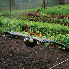 Carica l&#39;immagine nel visualizzatore di Gallery, Defenders - Esca volante a forma di falco 9.4x51.5x33.3 cm, Multicolore