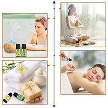 Carica l'immagine nel visualizzatore di Gallery, Oli Essenziali per Diffusori Top 6 Set - Aromaterapia Olio Essenziale Clear