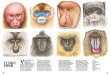 Carica l'immagine nel visualizzatore di Gallery, Curiosi mammiferi. Ediz. a colori (Italiano) Copertina rigida – 26 settembre...