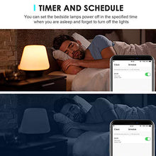 Carica l&#39;immagine nel visualizzatore di Gallery, Gelvova Presa Intelligente,Smart Wifi Plug con supporto APP Alexa/Google...