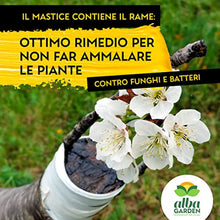 Carica l'immagine nel visualizzatore di Gallery, 4