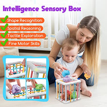 Carica l&#39;immagine nel visualizzatore di Gallery, Aliex Giochi Montessori Neonato 6 Mesi - 3 Anno, 4 in 1 Gioco | Forme Sensoriali | Cubi impilabili | Giochini Regalo Bambino e Bambina 6 9 12 Mesi 1 2 3 Anno