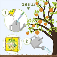 Carica l&#39;immagine nel visualizzatore di Gallery, I Consigli Dell&#39;Esperto Citrus Concime Minerale Specifico per Agrumi