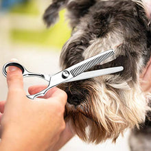 Carica l&#39;immagine nel visualizzatore di Gallery, WOMGF Forbici Toelettatura per Cani Gatti Professionali Set per...