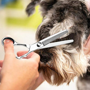 WOMGF Forbici Toelettatura per Cani Gatti Professionali Set per...