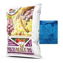 Carica l&#39;immagine nel visualizzatore di Gallery, Albagarden - Piante Frutta Naturale Bio Polti20 Biologico Bordolese Rame + Boro Orto Vite Peronospora Oidio Verderame Solfato Ossicloruro x 1 kg
