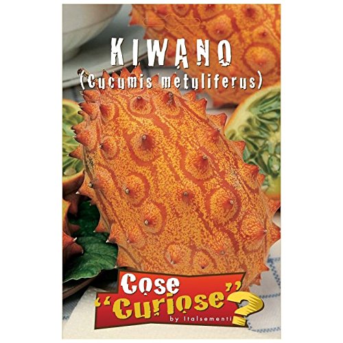 Semi - Kiwano (Cucumis metuliferus) - Ilgrandebazar