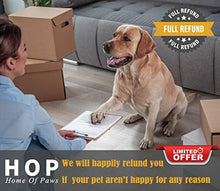 Carica l&#39;immagine nel visualizzatore di Gallery, HOP Home of Paws Potenzia i tronchesi e Il tagliaunghie per Animali...