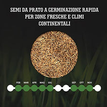 Carica l&#39;immagine nel visualizzatore di Gallery, LERAVA TURBO Semi da prato a germinazione rapida per zone fresche e climi continentali - garantisce colori verdi brillanti - con erba che cresce veloce - 30m²