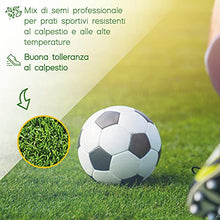 Carica l&#39;immagine nel visualizzatore di Gallery, AGRI-CULTURA Diamante - Semi prato 1 Kg - Semi erba prato resistenti alla siccità ,adatti a tutti i terreni e luoghi [Ideale per tappeti erbosi sportivi ed ornamentali]
