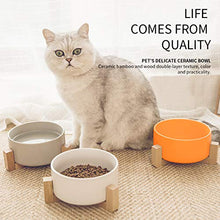 Carica l'immagine nel visualizzatore di Gallery, Petxt - Ciotola in ceramica rialzata per cuccioli di gatto, altezza bianco