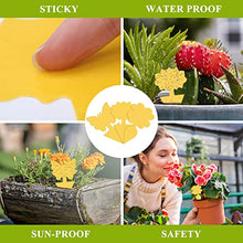 Carica l'immagine nel visualizzatore di Gallery, 30 PCS Trappola per Mosche Acchiappamosche Adesivo Plant Flycatcher Trappola per Mosche della Frutta Trappola per Insetti per Moscerini, Afidi, Mosche Minatori e Mosche Bianche (30 PCS)