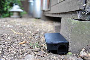 The Big Cheese STV179 Cassetta Esche Ratti e Topi, Nero, 7.2x12.4x22.8 cm