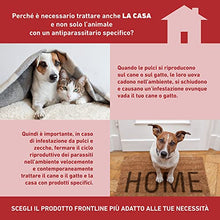 Carica l&#39;immagine nel visualizzatore di Gallery, FRONTLINE Homegard Spray Insetticida, Antipulci per Ambienti ad Azione Rapida, Protegge Mobili e Tessili di Casa, Elimina Pulci, Zecche, Uova e Larve fino a 6 mesi, Formato 250 ml
