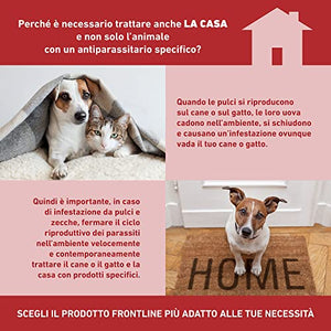 FRONTLINE Homegard Spray Insetticida, Antipulci per Ambienti ad Azione Rapida, Protegge Mobili e Tessili di Casa, Elimina Pulci, Zecche, Uova e Larve fino a 6 mesi, Formato 250 ml