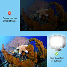 Carica l&#39;immagine nel visualizzatore di Gallery, Suptig - Illuminazione video subacquea con 72 luci a LED, compatibile con...