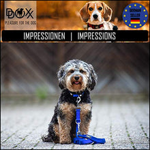 Carica l'immagine nel visualizzatore di Gallery, DDOXX Guinzaglio per Cani Nylon, Regolabile con XS - 1,0 x 200 cm, Arancione