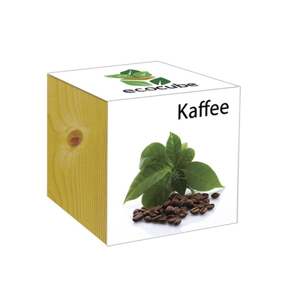 Extragifts ecocube Caffè - piante nel cubo di legno verde - Ilgrandebazar