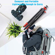 Carica l&#39;immagine nel visualizzatore di Gallery, BONFOTO - Treppiede per fotocamera, portatile, in alluminio, con testa a...