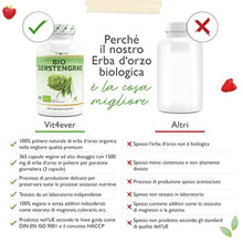Carica l'immagine nel visualizzatore di Gallery, 2