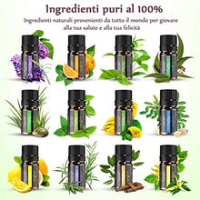 Carica l&#39;immagine nel visualizzatore di Gallery, Anjou Olio Essenziale Set di 12 per Aromaterapia, Oli Essenziali Puri 12x5ml - Ilgrandebazar