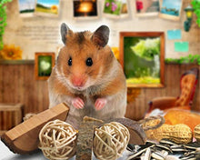Carica l'immagine nel visualizzatore di Gallery, JJYHEHOT 8 Pack Giocattoli per Piccoli Animali Toy Giocattolo in...
