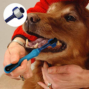 Spazzolino da Denti per Cani, INTVN 5 Pezzi Pet Professionale Pet...