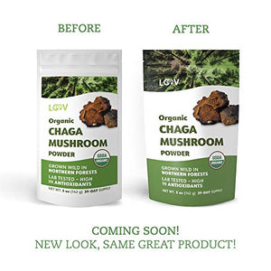 Polvere Biologica di Fungo Chaga, Raccolto Allo Stato Selvatico Nelle...